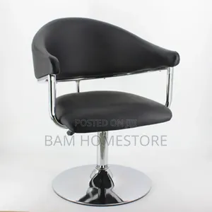 Modern Adjustable Swivel Saloon Chair