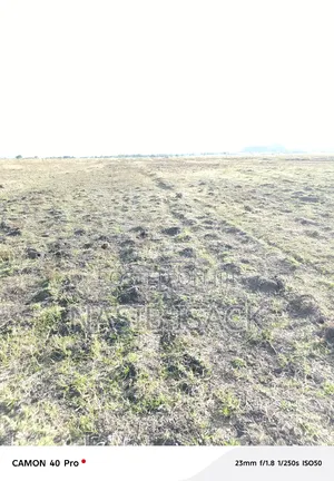 Plot/ Farm for Sale