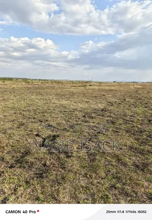 Plot/ Farm for Sale