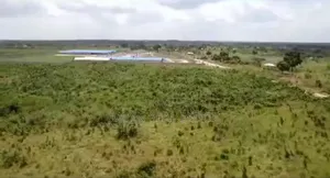 86 Acres Industrial Plot for Sale at Visiga Kibaha