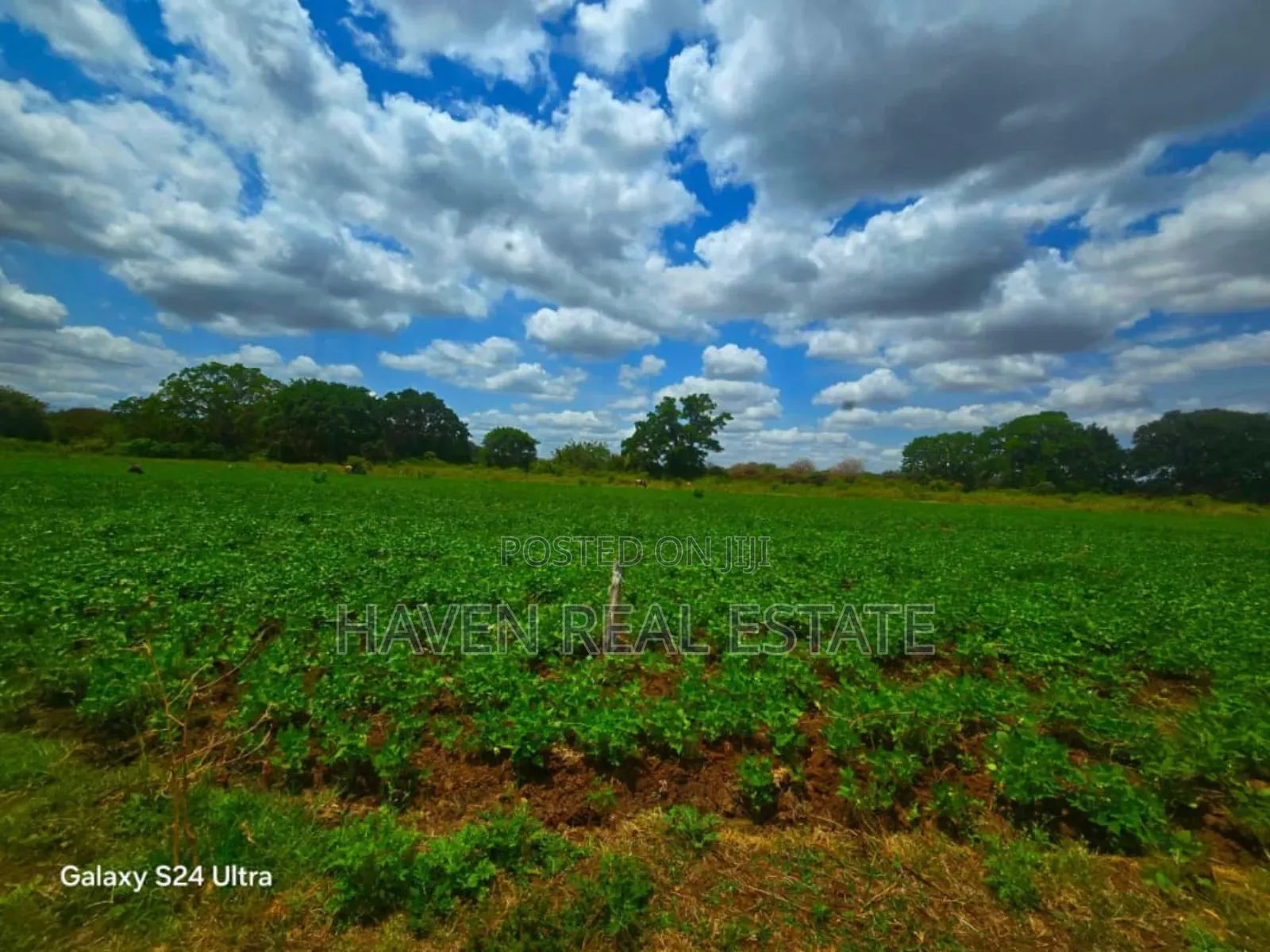 1137 Acres Farm Land for Sale at Arusha