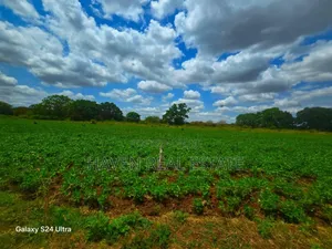 1137 Acres Farm Land for Sale at Arusha