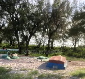 Plot Beach