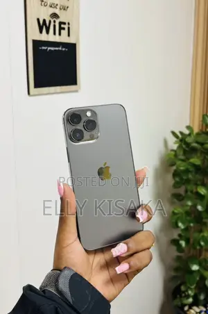 Apple iPhone 13 Pro Max 128 GB Gray