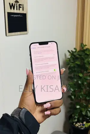 Apple iPhone 13 Pro Max 128 GB Gray