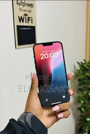 Apple iPhone 13 Pro Max 128 GB Gray