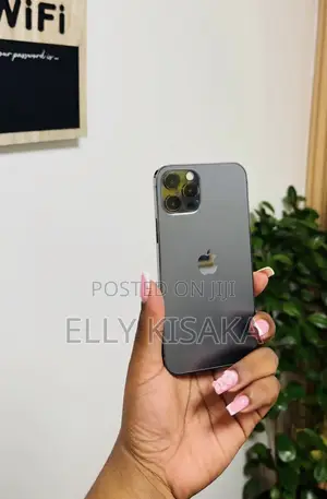 Apple iPhone 12 Pro Max 128 GB Gray