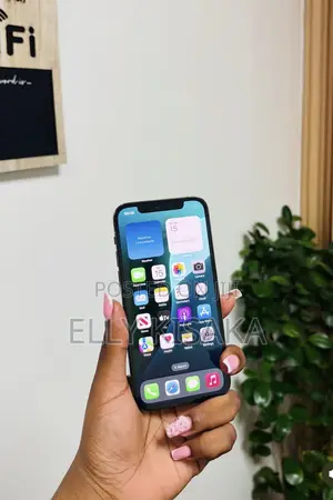 Apple iPhone 12 Pro Max 128 GB Gray
