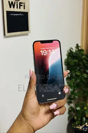 Apple iPhone 12 Pro Max 128 GB White