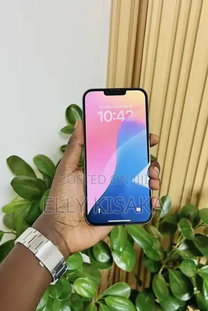 Apple iPhone 13 Pro Max 128 GB Gray