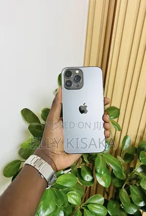 Apple iPhone 13 Pro Max 128 GB Gray