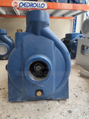 Pedrollo Surface Pump 3hp (3inch)