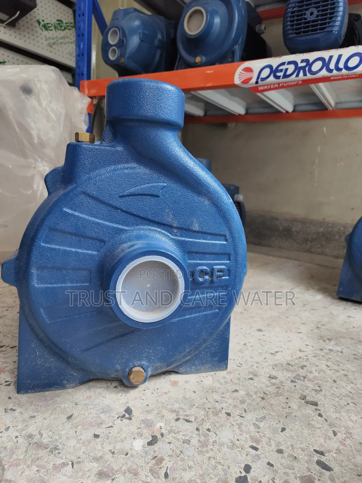 Pedrollo Surface Pump 5.5hp (2inch)