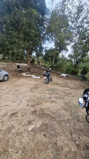 Big Plot at Kibamba Shule It Look at Tarmac