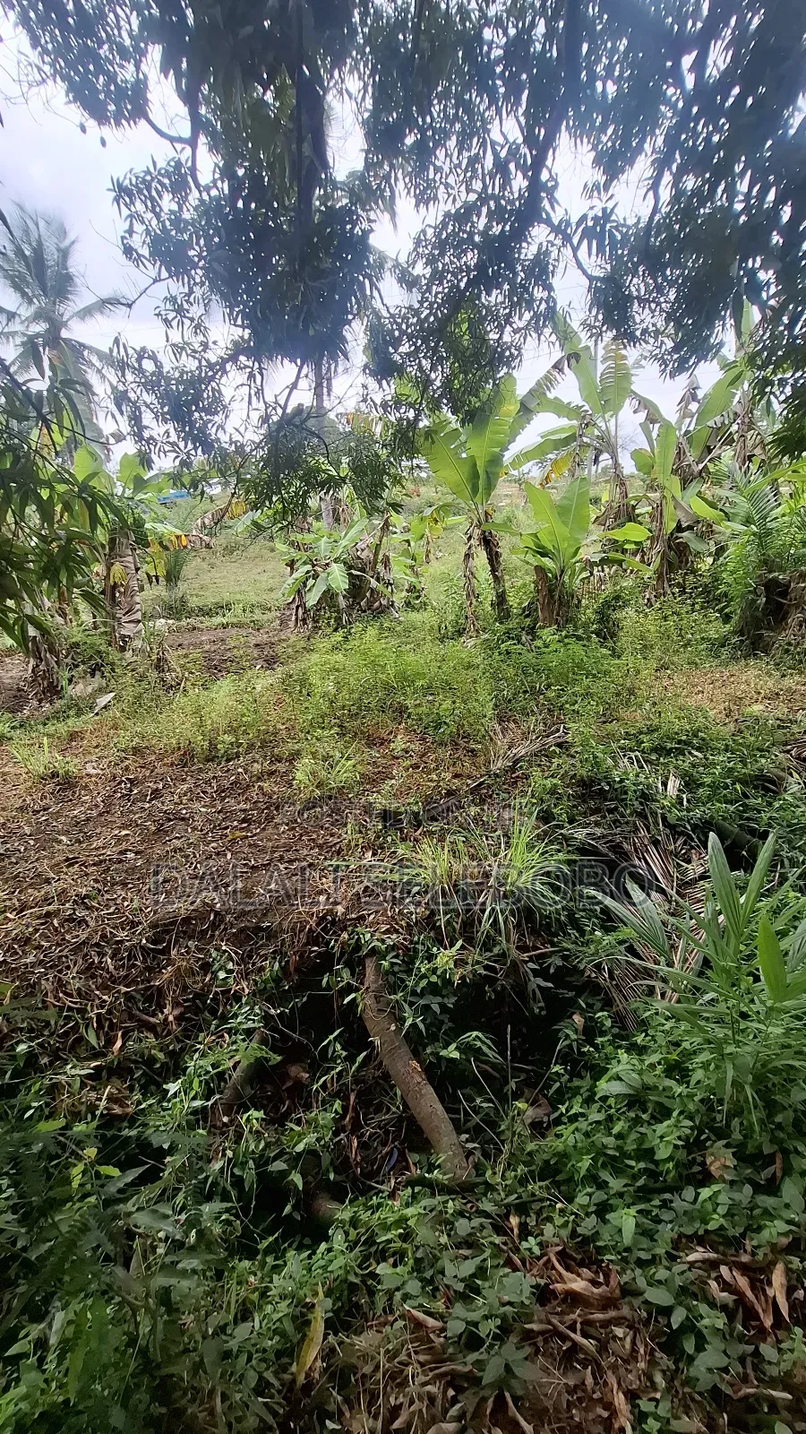 Big Plot at Kibamba Shule It Look at Tarmac
