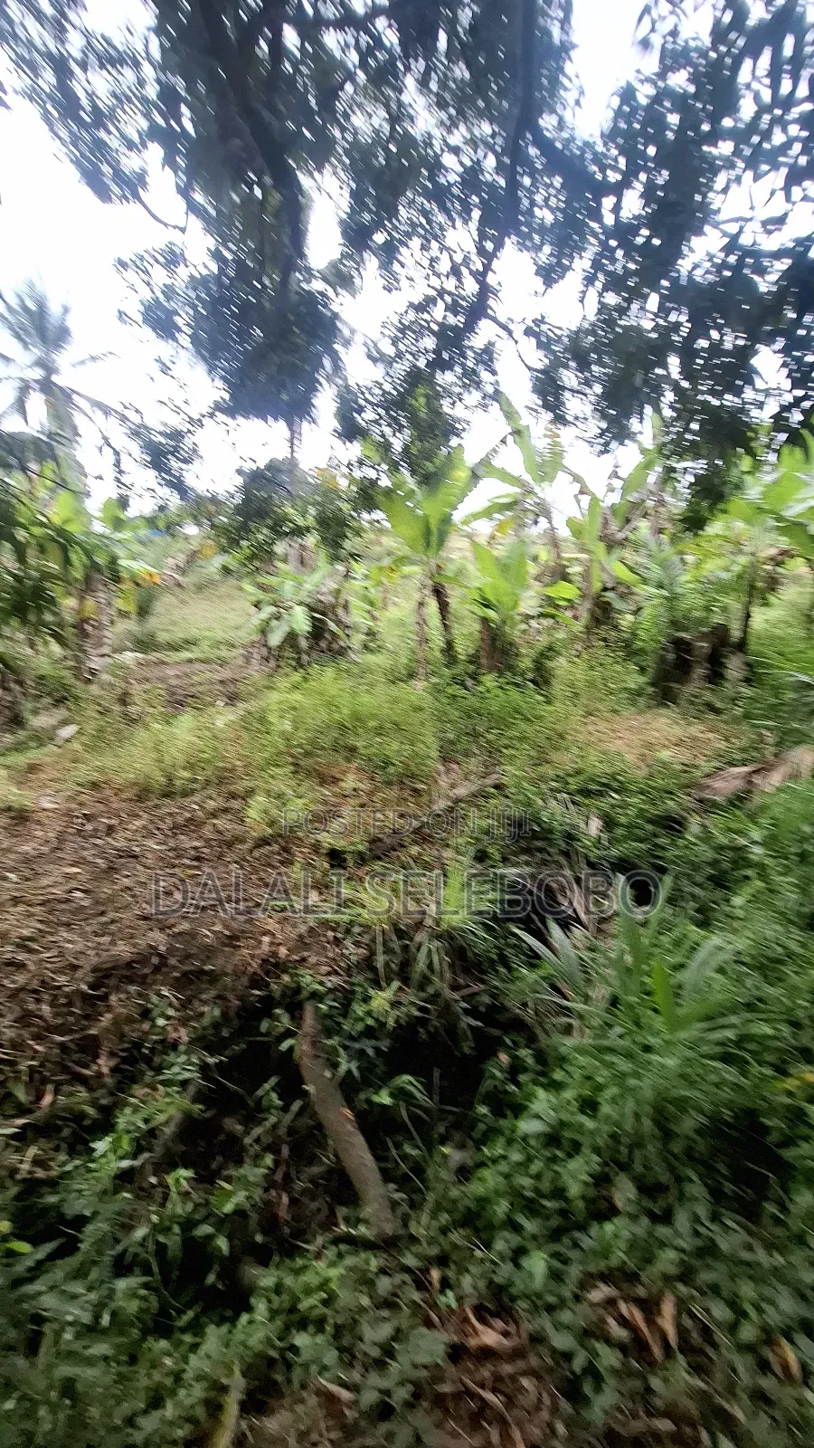 Big Plot at Kibamba Shule It Look at Tarmac