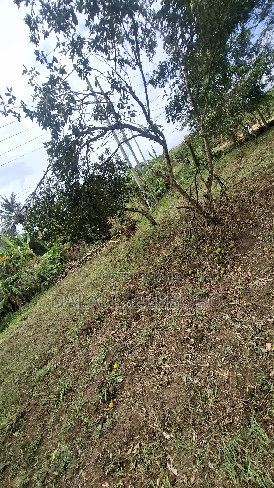 Plot Sale at Kibamba Shule Big Space