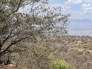 For Sale: Prime 8-Acres Plot With Breathtaking Lake Manyara Views