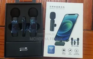Double Wireless Microphone