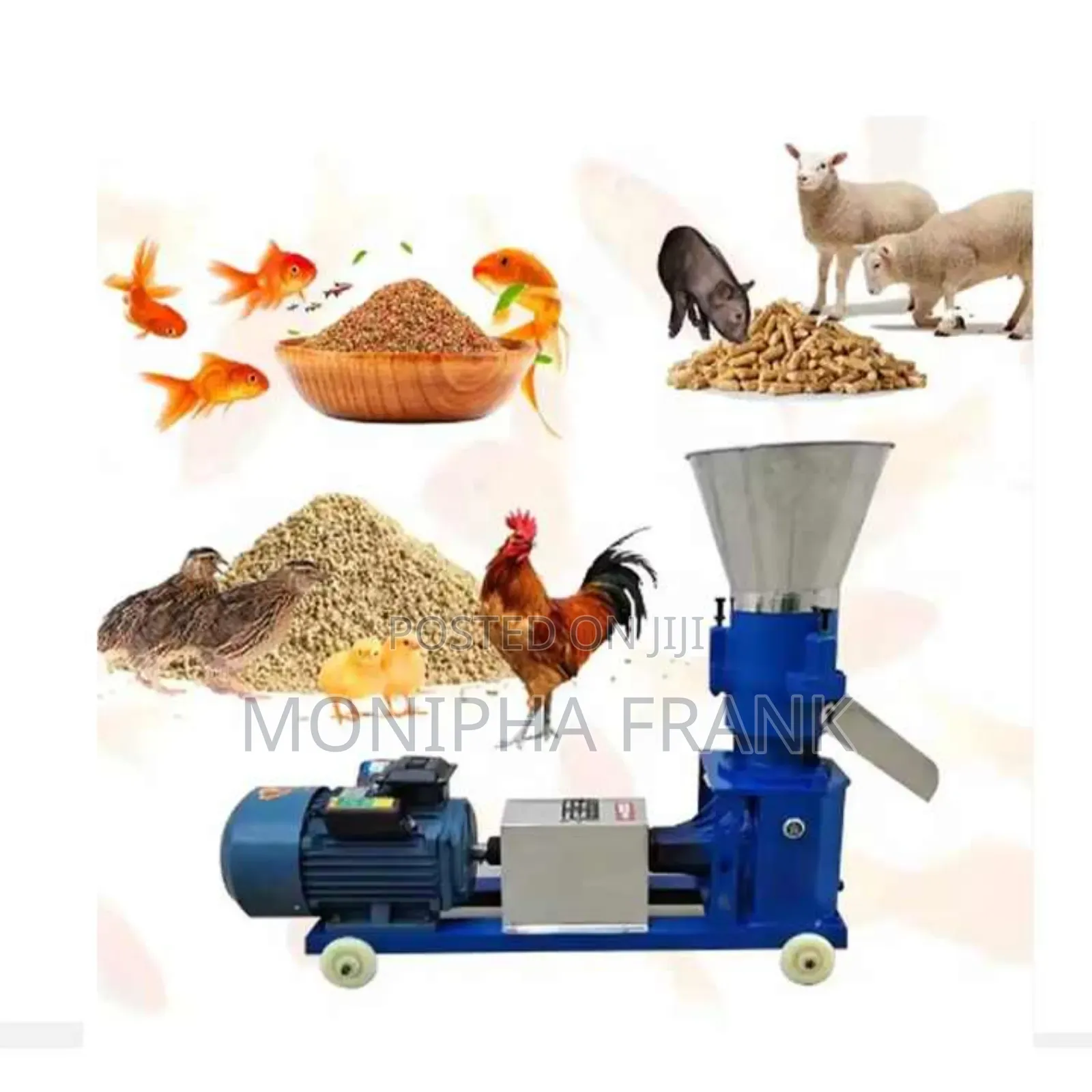 Chicken Feed Pellet Machine