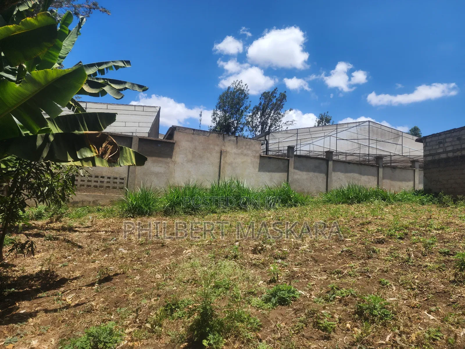 Plot for Sale