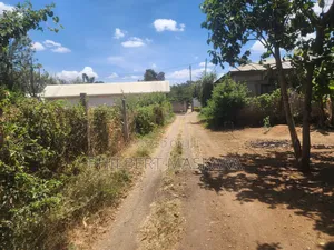 Plot for Sale