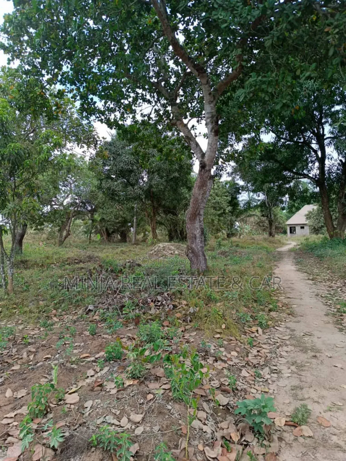 Very Cheap 40 Acres Plot for Sale Mkuranga Mwanambaya Kwa Mwinyi