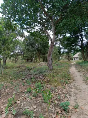 Very Cheap 40 Acres Plot for Sale Mkuranga Mwanambaya Kwa Mwinyi