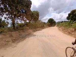 Very Cheap 40 Acres Plot for Sale Mkuranga Mwanambaya Kwa Mwinyi