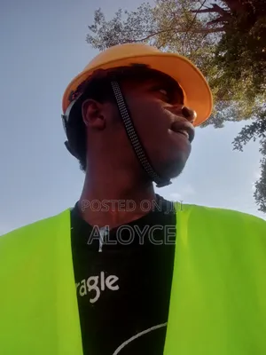 Findi Wa Mifumo Ya Ulinzi