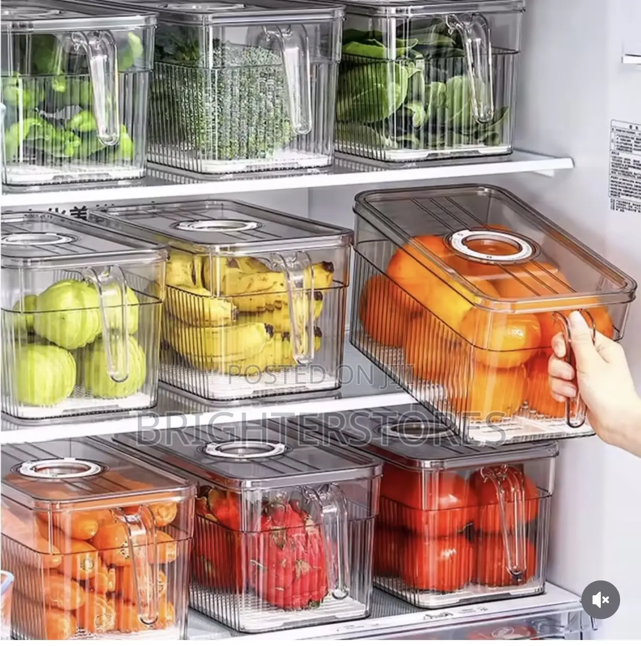 Fridge Organizer Big Size