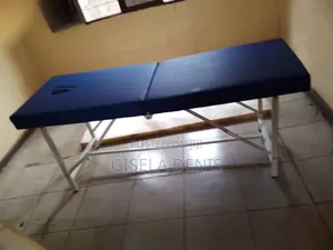 Spa Bed/ Massage Bed