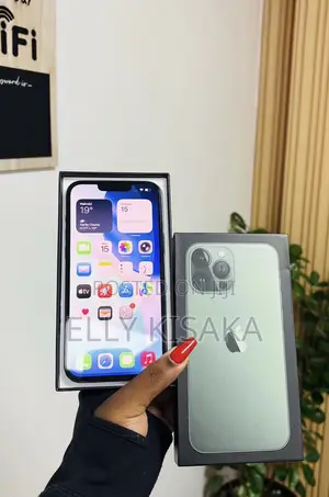 New Apple iPhone 13 Pro Max 256 GB Gray