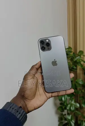 Apple iPhone 12 Pro Max 128 GB Gray