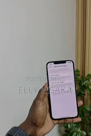 Apple iPhone 12 Pro Max 128 GB Gray