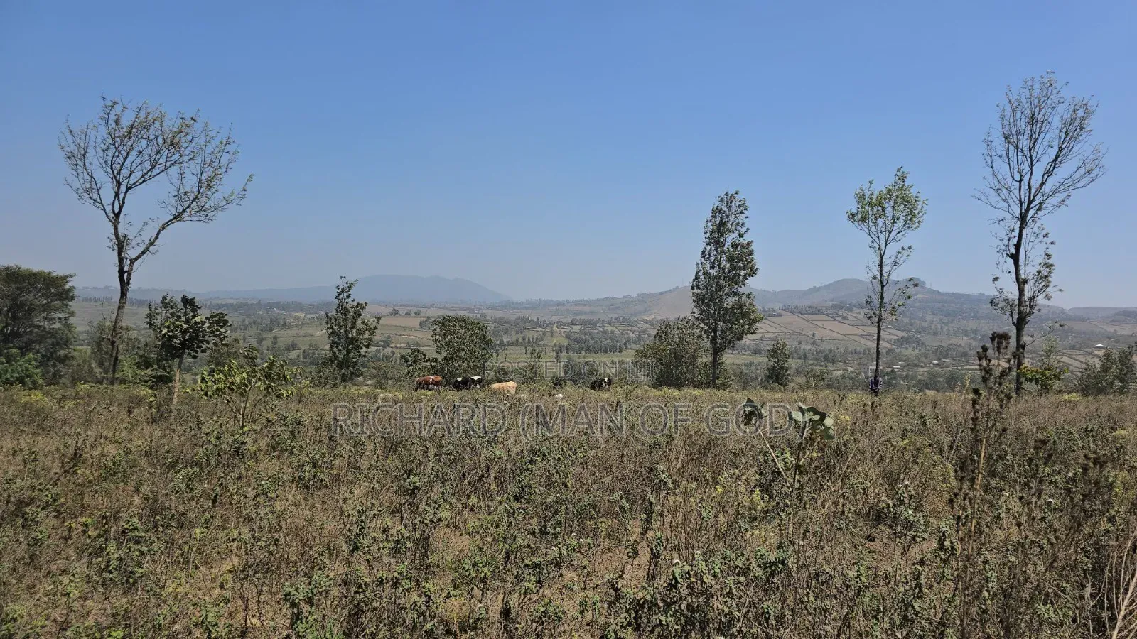Prime Hilltop Land in Ngaramtoni-6.2 Acres With Panoramic Views