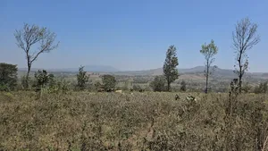 Prime Hilltop Land in Ngaramtoni-6.2 Acres With Panoramic Views