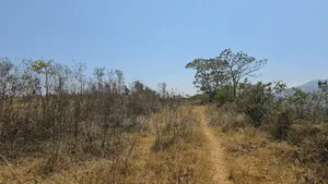 Prime Hilltop Land in Ngaramtoni-6.2 Acres With Panoramic Views