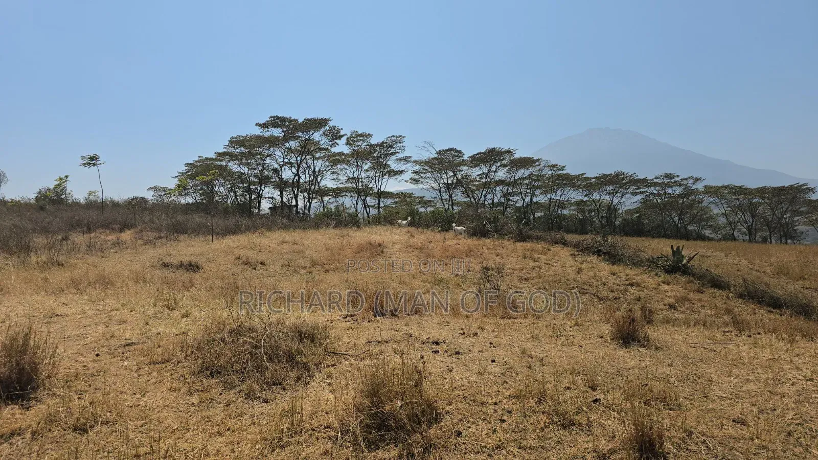 Prime Hilltop Land in Ngaramtoni-6.2 Acres With Panoramic Views