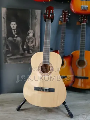 Acoustic Guitar Electric