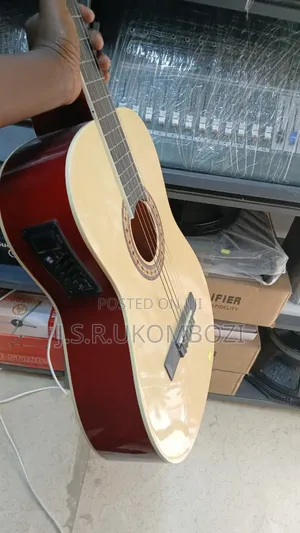 Acoustic Guitar Electric