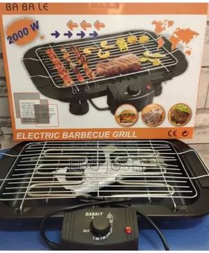 Electric Barbecue Grill