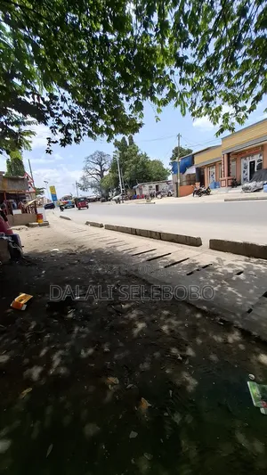 Plot Sale We Look Main Road at Mwananyamala B