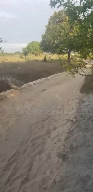 Plot With 29 Acres for Sale at Mwanambaya