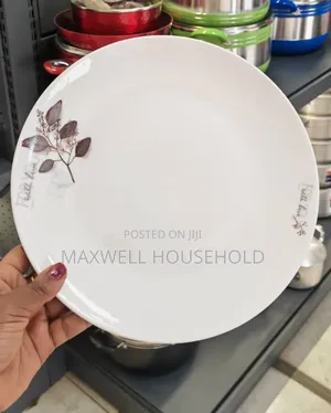 Mordern Dinner Plate