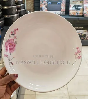 Mordern Dinner Plate