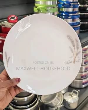 Mordern Dinner Plate
