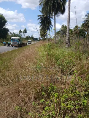 Prime Industeial Land Fronting Kilwa Road