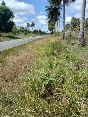 Prime Industeial Land Fronting Kilwa Road