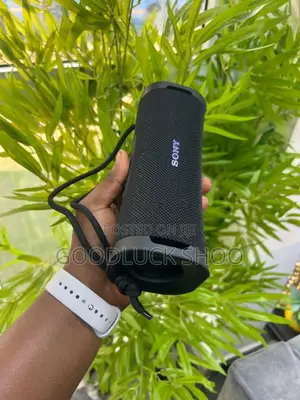 Sony Ult Speakers